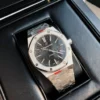 Audemars Piguet Royal Oak 15500 Watch SKU AP0001