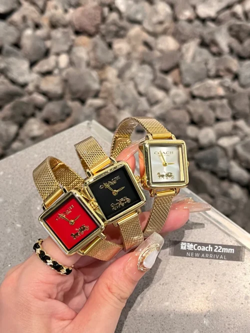 Coach Cass Women's Square Case Quartz Watch 22mm Leather Strap