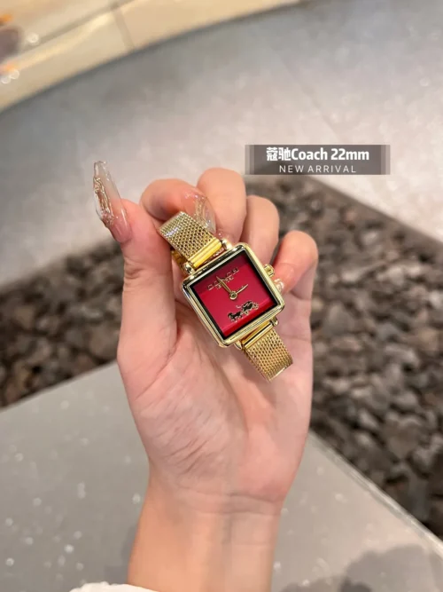 Coach Cass Women's Square Case Quartz Watch 22mm Leather Strap