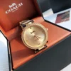 Coach Park 14603456 Women's Quartz Watch 34mm SKU COACH0015