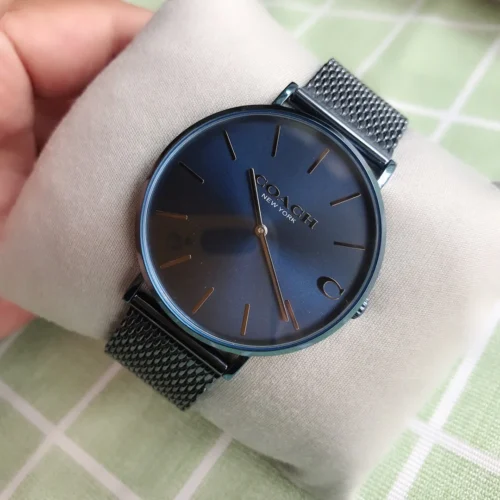 Coach Charles Men's Watch 40mm