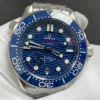 Omega Seamaster 300 Blue Dial Watch 42mm